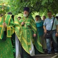 Photo 51